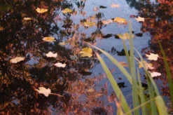 Vijvernet 4 X 6 Meter Met Grondpennen -Vijver Winkel 04300201 1 0 999x663