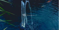 OASE Water Starlet Fontein 8 OASE Water Starlet Fontein -Vijver Winkel 50214 waterstarlet foto3 05 gr 0 808x421