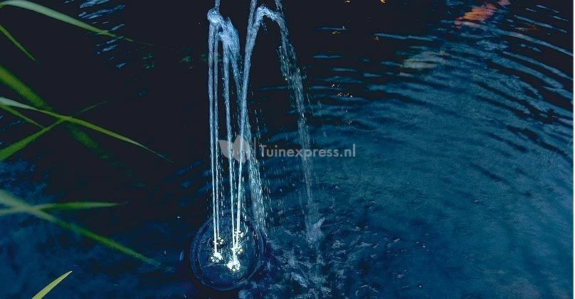 OASE Water Starlet Fontein 3 OASE Water Starlet Fontein - Afbeelding 3