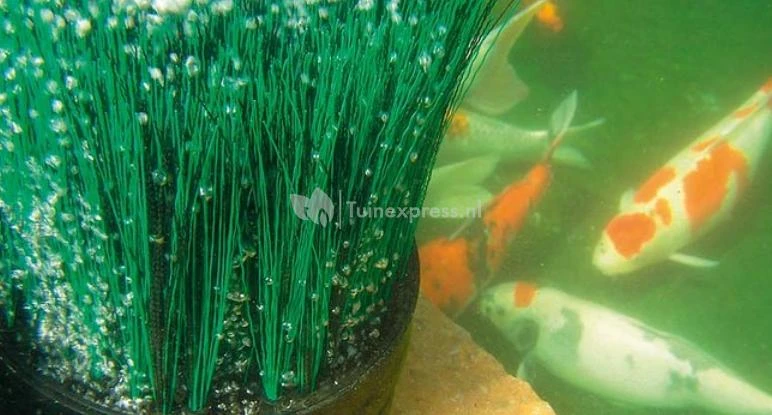 Oase OxyTex CWS Set 1000 Luchtpomp 3 Oase OxyTex CWS Set 1000 Luchtpomp - Afbeelding 3