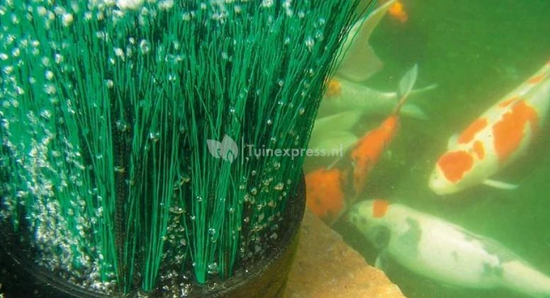 Oase OxyTex CWS Set 2000 Luchtpomp 4 Oase OxyTex CWS Set 2000 Luchtpomp - Afbeelding 4