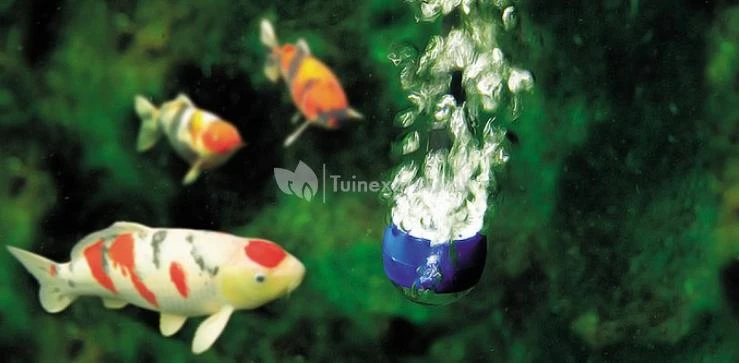 Oase AquaOxy 250 Luchtpomp 4 Oase AquaOxy 250 Luchtpomp - Afbeelding 4