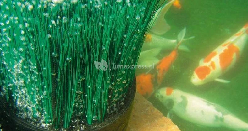 Oase OxyTex CWS Set 500 Luchtpomp 5 Oase OxyTex CWS Set 500 Luchtpomp - Afbeelding 5