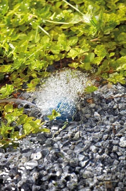 Oase AquaOxy 500 Luchtpomp 2 Oase AquaOxy 500 Luchtpomp - Afbeelding 2