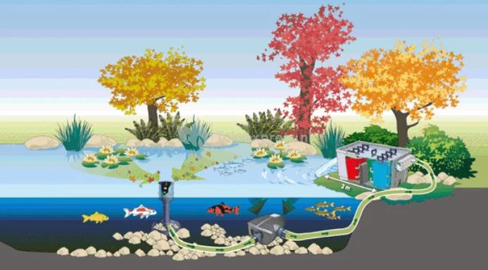 OASE AquaSkim 20 Skimmer Vijver 2 OASE AquaSkim 20 Skimmer Vijver - Afbeelding 2