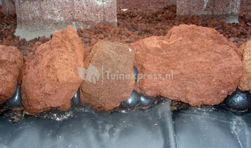 Zwarte Purschuim 2 Zwarte Purschuim - Afbeelding 2