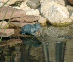 Ubbink Kikker Spuitfiguur - Klein
