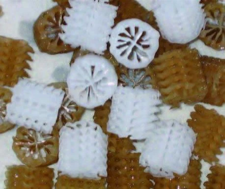 Biocarrier Type Helix 1 Biocarrier Type Helix