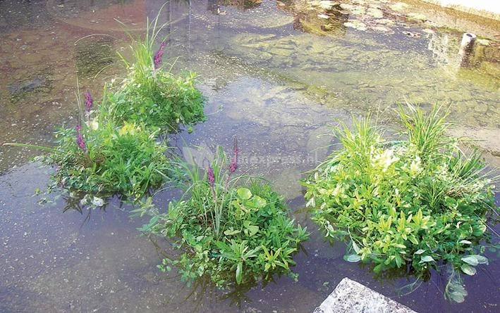 Drijvend Planteneiland Rond 3 Drijvend Planteneiland Rond - Afbeelding 3