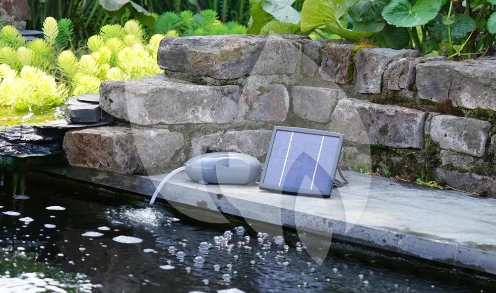 Ubbink Air Solar 100 Luchtpomp Met Zonnepaneel 2 Ubbink Air Solar 100 Luchtpomp Met Zonnepaneel - Afbeelding 2