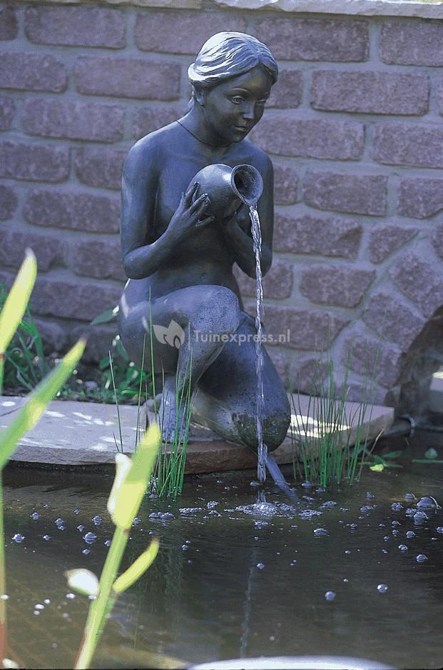 OASE Aquarius Universal Classic 440 Indoor Fonteinpomp 5 OASE Aquarius Universal Classic 440 Indoor Fonteinpomp - Afbeelding 5