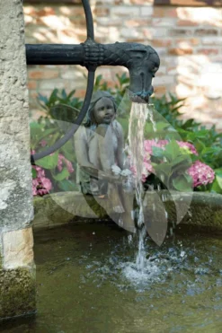 OASE Aquarius Universal Classic 440 Outdoor Fonteinpomp 7 OASE Aquarius Universal Classic 440 Outdoor Fonteinpomp -Vijver Winkel aquarius universal classic sfeerfoto 1 0 666x1000 3