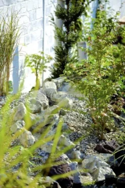 OASE Beekloopelement Zand Bron Element 7 OASE Beekloopelement Zand Bron Element -Vijver Winkel beekloop 50413 2 0 396x597 2