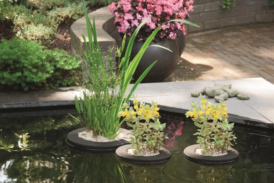 Drijvend Planteneiland 25 Cm Rond Velda 2 Drijvend Planteneiland 25 Cm Rond Velda - Afbeelding 2