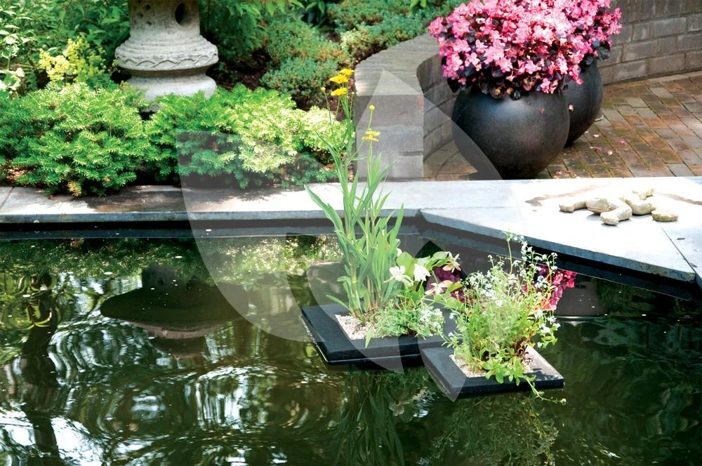 Drijvend Planteneiland 25 X 25 Cm Vierkant Velda 2 Drijvend Planteneiland 25 X 25 Cm Vierkant Velda - Afbeelding 2