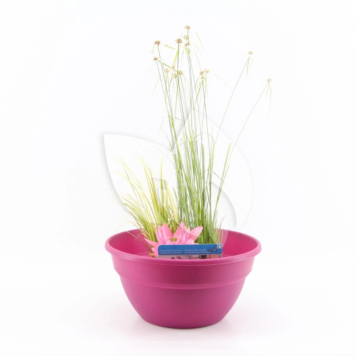 Mini Vijver Kunststof Roze 1 Mini Vijver Kunststof Roze