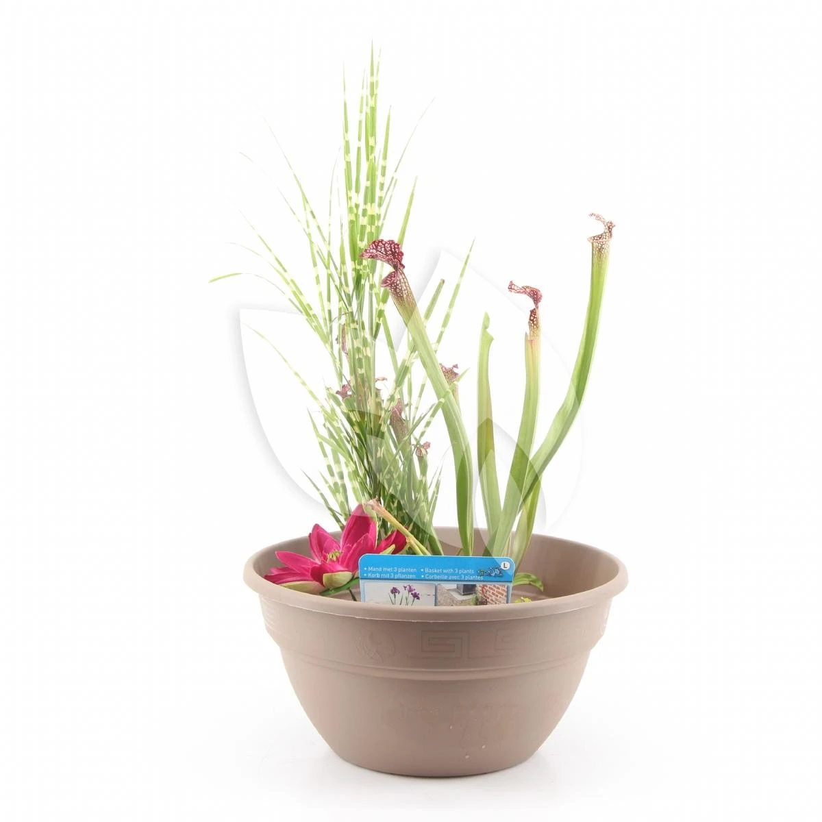 Mini Vijver Kunststof Taupe 1 Mini Vijver Kunststof Taupe