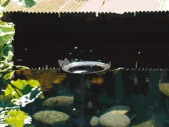 OASE AquaSkim 40 Skimmer Vijver 10 OASE AquaSkim 40 Skimmer Vijver -Vijver Winkel oase aquaskim 40 skimmer 56907 2 0 614x461