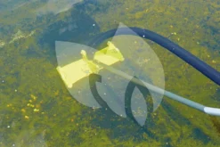 OASE Borstel Zuigmond PondoVac Premium Vijverstofzuiger 11 OASE Borstel Zuigmond PondoVac Premium Vijverstofzuiger -Vijver Winkel oase borstel zuigmond pondovac premium vijverstofzuiger 40307 1 0 1000x666