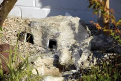 OASE FiltoCap Sand Afdekrots -Vijver Winkel oase filtocap sand voor filtoclear 50420 3 0 1000x667