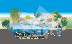 Oase FiltoClear 6000 Vijverfilter Set -Vijver Winkel oase filtoclear 6000 vijverfilter set 4010052508672 3 0 1000x614