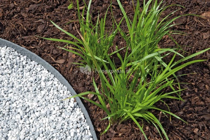 OASE Pondedge Set Van 10 Grondpennen 4 OASE Pondedge Set Van 10 Grondpennen - Afbeelding 4