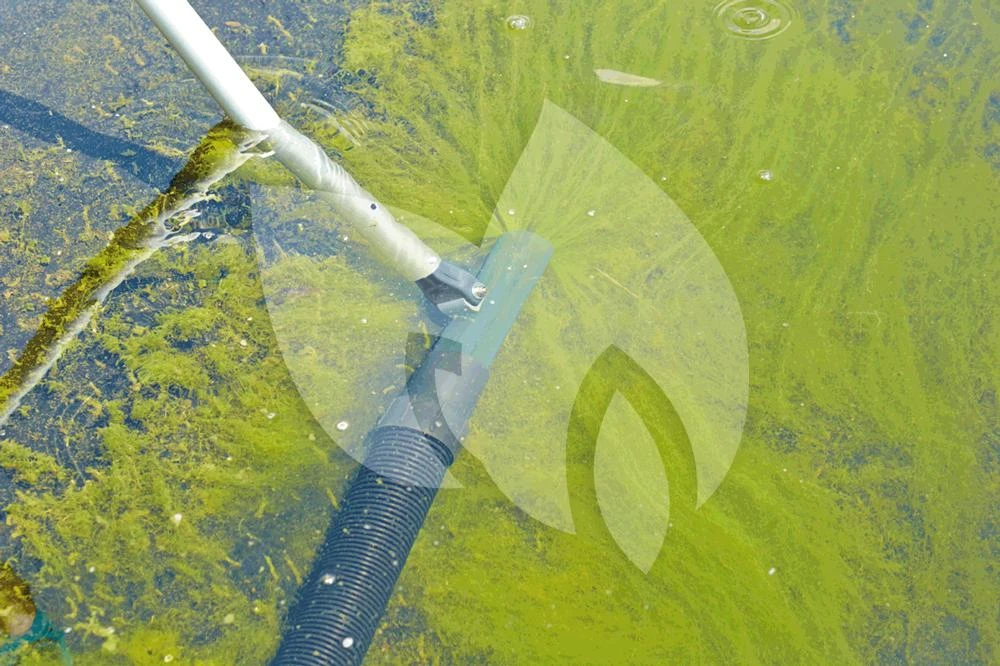 OASE Ronde Zuigmond PondoVac Premium Vijverstofzuiger 2 OASE Ronde Zuigmond PondoVac Premium Vijverstofzuiger - Afbeelding 2