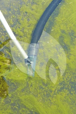 OASE Ronde Zuigmond PondoVac Premium Vijverstofzuiger 6 OASE Ronde Zuigmond PondoVac Premium Vijverstofzuiger -Vijver Winkel oase ronde zuigmond pondovac premium vijverstofzuiger 40305 2 0 666x1000