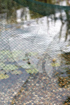 Oase Vijvernet 3 X 4 Meter -Vijver Winkel oase vijver afdeknet 3 x 4 m 53751 3 0 667x1000 1