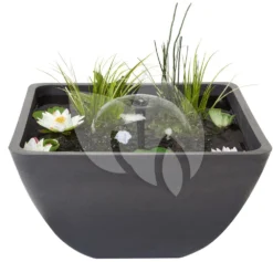 Velda Terrasvijver Fountain Pond Vierkant Klein -Vijver Winkel terrasvijver vierkant 55cm 123515 3 0 1000x961