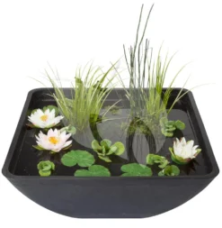 Velda Terrasvijver Fountain Pond Vierkant Groot