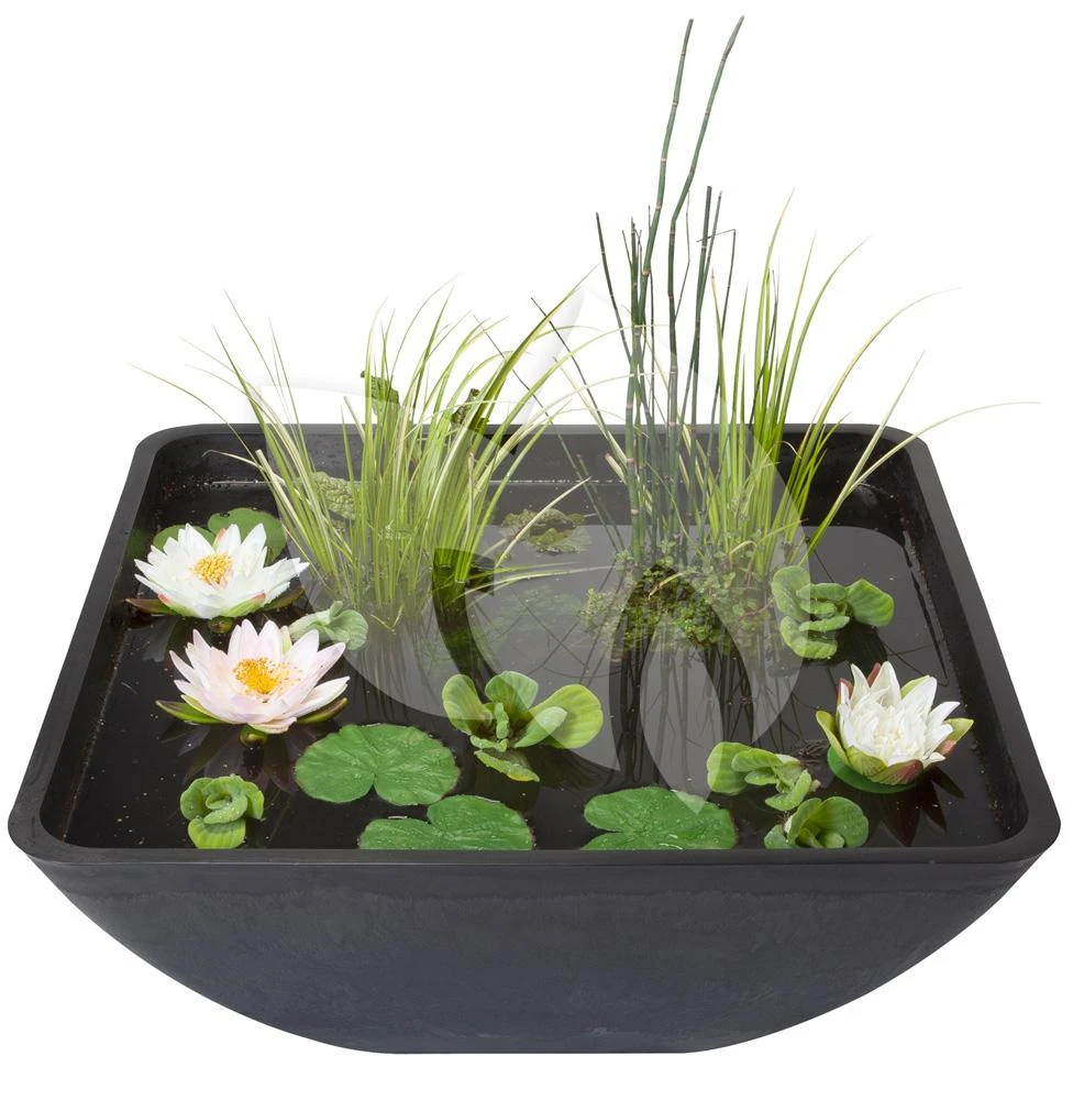 Velda Terrasvijver Fountain Pond Vierkant Groot 1 Velda Terrasvijver Fountain Pond Vierkant Groot