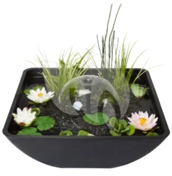 Velda Terrasvijver Fountain Pond Vierkant Groot 7 Velda Terrasvijver Fountain Pond Vierkant Groot -Vijver Winkel terrasvijver vierkant 75cm 123516 2 0 978x1000