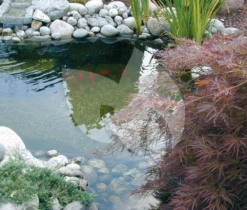 Ubbink BioPure 2000 Basic-Set Onderwaterfilter -Vijver Winkel ubbink biopure 2000 basic set onderwaterfilter 2 0 1000x852