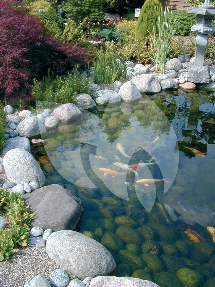 Ubbink FiltraClear 2500 PlusSet Vijverfilter 4 Ubbink FiltraClear 2500 PlusSet Vijverfilter - Afbeelding 4