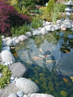 Ubbink FiltraClear 4500 BasicSet Doorstroomfilter 7 Ubbink FiltraClear 4500 BasicSet Doorstroomfilter -Vijver Winkel ubbink filtraclear 4500 basicset doorstroomfilter 2 0 750x1000 1