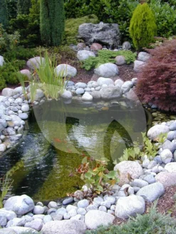 Ubbink FiltraPure 2000 PlusSet Vijverfilter 5 Ubbink FiltraPure 2000 PlusSet Vijverfilter -Vijver Winkel ubbink filtrapure 4000 vijverfilter 2 0 750x1000 2