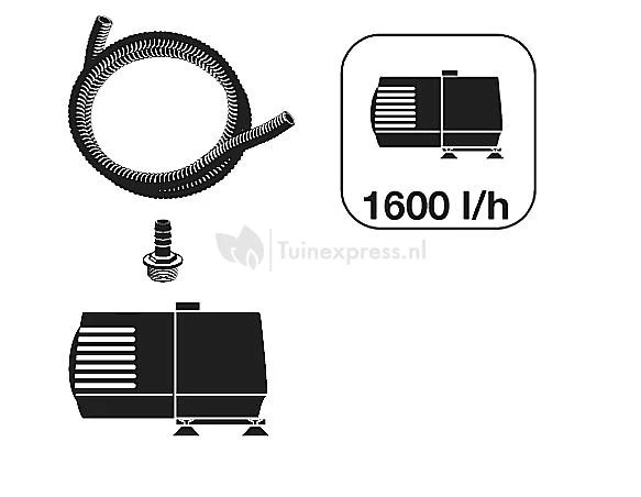 Nova Scotia Waterornament 2 Nova Scotia Waterornament - Afbeelding 2