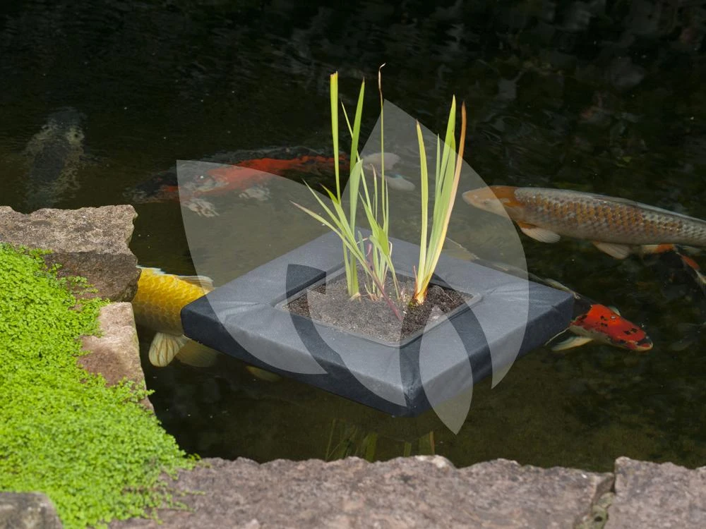 Ubbink SwimPlant Drijvende Plantentas Vierkant 40 X 40 Cm 2 Ubbink SwimPlant Drijvende Plantentas Vierkant 40 X 40 Cm - Afbeelding 2