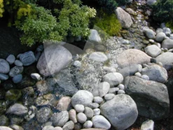 Ubbink Xtra Fi Filterpomp Serie -Vijver Winkel ubbink xtra fi filterpomp 8711465519557 4 0 1000x750