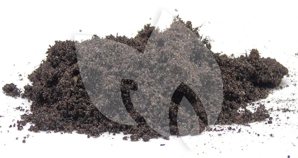 Ubbink Waterlelie Aarde 1 Ubbink Waterlelie Aarde