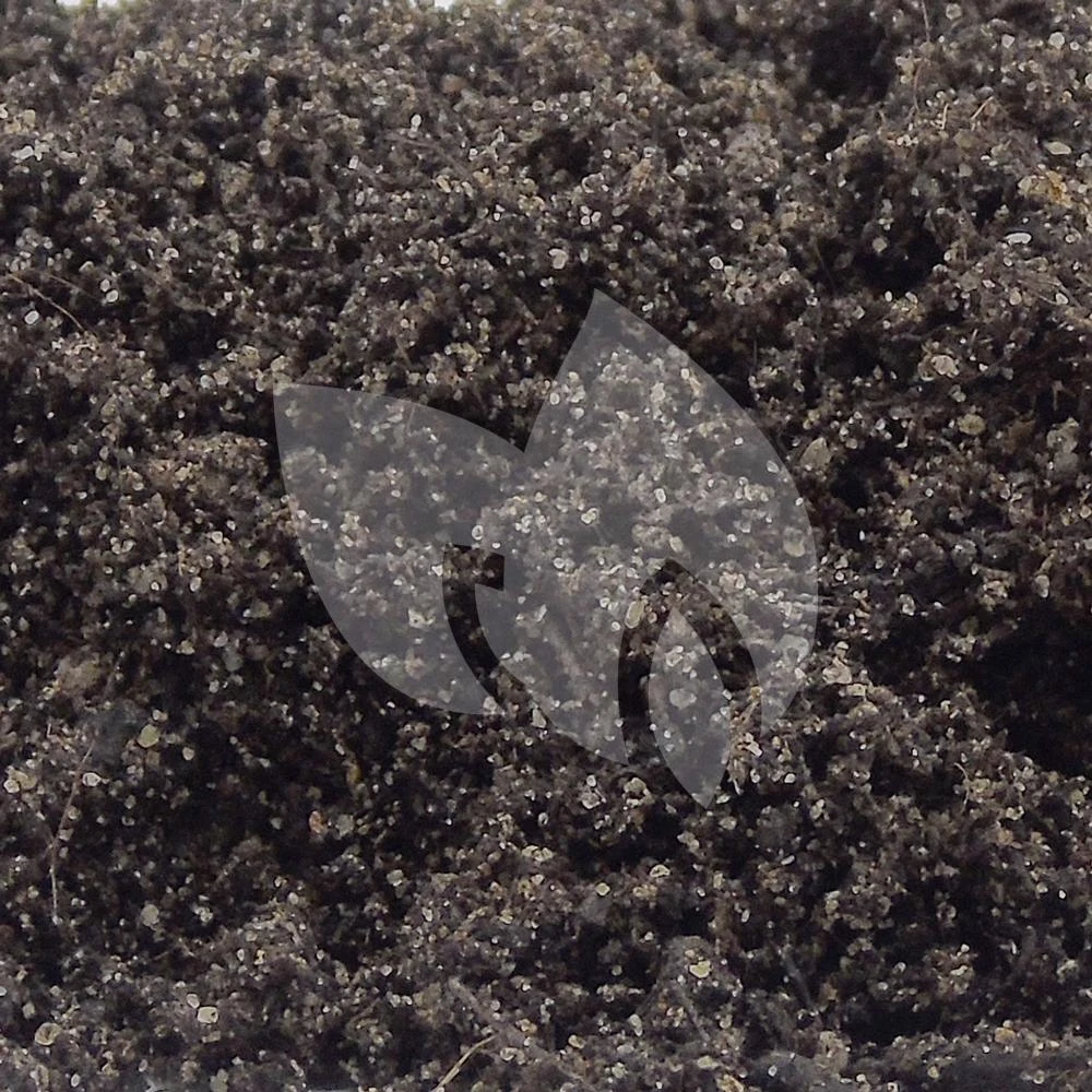 Ubbink Waterlelie Aarde 2 Ubbink Waterlelie Aarde - Afbeelding 2