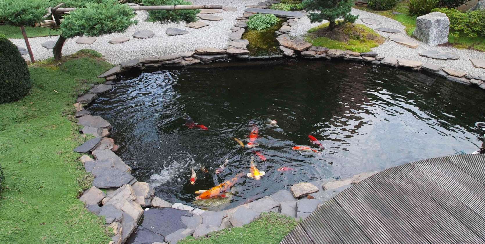 Vijver Winkel -Vijver Winkel Dakenshop Blog Vijver van EPDM maken o1