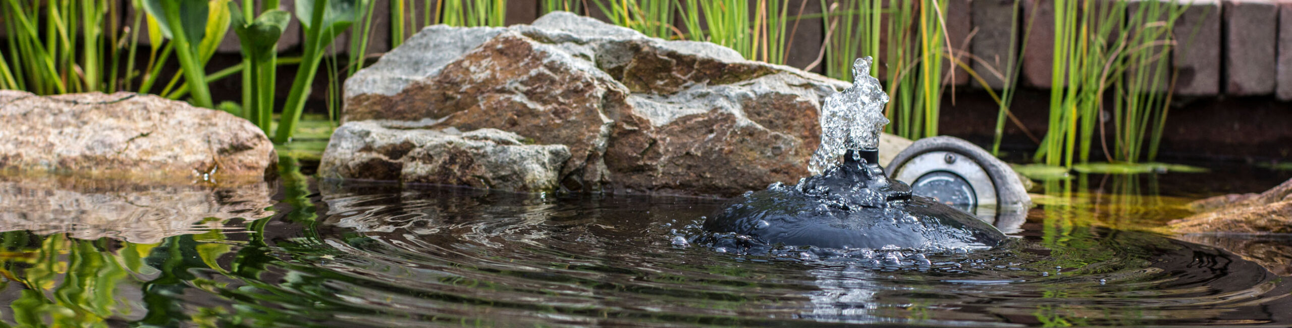 Vijver Winkel -Vijver Winkel vijverfilters 2 scaled